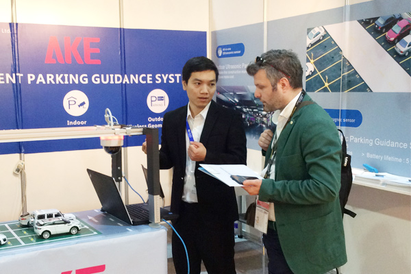 AKE in Intersec 2016