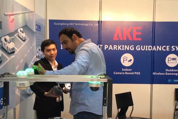 AKE in Intersec 2016